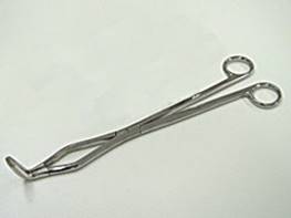 5910.jpg